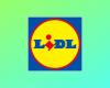 Erreur de prix ? Lidl propose une souris ergonomique sans fil Silvercrest à petit prix