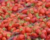 En soutien aux agriculteurs, les Mousquetaires arrêtent de vendre des fraises et des cerises à la fin de l’année