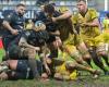 Un premier quart-temps, mention passable pour les joueurs montpelliérains en Top 14