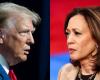 Ce que montrent les sondages sur la course Trump-Harris avant les élections de 2024