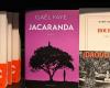 Le prix Goncourt décerné à Kamel Daoud, Gaël Faye obtient le Renaudot