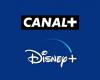 Canal+ perdra très prochainement l’accès au catalogue streaming Disney+