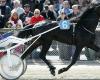 Quinté at Paris Vincennes on Tuesday November 5: Hervé Fortin’s predictions