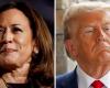 Cinéma, musique, littérature, dans la culture aussi, tout sépare Donald Trump et Kamala Harris