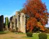 9 parcs et jardins ouvriront gratuitement leurs portes au public les 16 et 17 novembre à l’occasion de la 1ère édition de Parcs en Automne – Angers Info