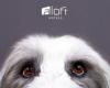 Aloft Milwaukee Downtown accueillera « No Watch Pawties » ce soir