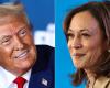 Et s’il y avait un lien parfait entre Trump et Harris ?