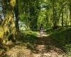 Conférences, ateliers, balades… Succombez au « chant des forêts » en Creuse