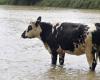 l’état de catastrophe naturelle reconnu pour 9 communes de Normandie