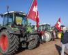 Grande distribution : payer le juste prix aux agriculteurs