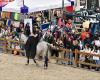 Maine-et-Loire. Plus que quelques jours avant l’ouverture du Salon du Cheval d’Angers