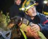 Pompiers et spéléologues… Le sauvetage spectaculaire d’un chien coincé depuis samedi dans les Pyrénées-Orientales