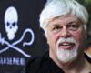 Cette ville déploie une immense bannière en soutien à Paul Watson