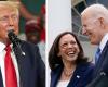 Joe Biden était-il un meilleur candidat que Kamala Harris ? Experts du choc des données électorales