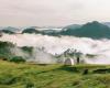 Un lieu de « guérison » à Quang Nam attire les touristes pour camper, échapper à la poussière et chasser les nuages ​​– Vietnam.vn