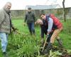 Villaines-la-Juhel. Une soirée culinaire autour des légumes le 13 novembre