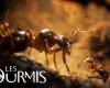 Microïds fait revivre le temps béni des… colonies de fourmis