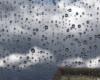 100 mm de pluie en 3 heures sur le littoral, entraînant une baisse des températures