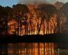 Un feu de broussailles éclate dans un parc de New York