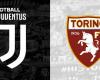 L’équipe officielle de la Juventus affrontera Turin – Vlahovic et Yildiz débutent ensemble