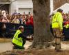 L’épinette de Norvège du Massachusetts arrive à New York comme arbre de Noël du Rockefeller Center