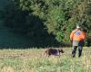 une femme accuse un chasseur d’avoir délibérément tué sa jument à 30 000 euros