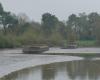 il faut sauver ces barges en béton, un patrimoine fluvial unique en France