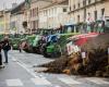 les agriculteurs de la Marne et des Ardennes appellent à manifester du 17 au 19 novembre