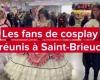 VIDÉO. La Japan Breizh Con’ attire des milliers de passionnés de culture manga à Saint-Brieuc