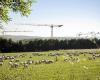 Le Larzac, sublime sous l’objectif de Philémon d’Andurain