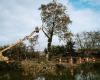 des dizaines d’arbres coupés sur le tracé de la LGV Toulouse-Bordeaux malgré les “écureuils”