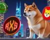 Vous avez peut-être manqué Shiba Inu (SHIB) et Pepe Coin (PEPE), mais il n’est pas trop tard pour transformer 5 000 $ en 1 074 700 $ avec ce jeton