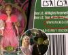 Un lien sur les boîtes de poupées du film « Wicked » mène vers un site porno… Mattel s’excuse