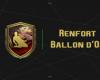 Solution DCE Renforcement Ballon d’Or EA FC 25 – Guides