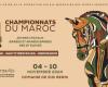 Championnats marocains de dressage, de saut d’obstacles et d’endurance : les derniers verdicts