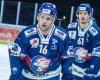 Former ZSC player Linden Vey joins Fribourg-Gottéron