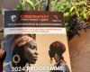 CinéFemFest, célébrations au féminin et témoignages – Ouestaf.com