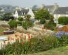 Oubliez Ouessant ou Molène, cette île méconnue du Finistère vous ravira pour vos vacances