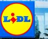 Lidl, c’est fini ? Ce nouveau magasin fera de l’ombre à la marque allemande avec ses petits prix