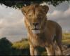 Mufasa prend quelques libertés avec sa dernière bande-annonce