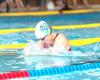 Championnat de Dordogne Natation Automne-Hiver 2024 à Bergerac