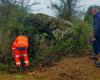 deux dolmens d’Artron mis au jour