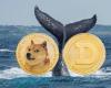 Le retour explosif de Dogecoin : 0,41 $ aujourd’hui, 2,40 $ demain ?