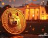 Trump et Dogecoin, une victoire qui électrise la crypto