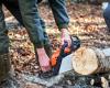 Jonathan Crabos, bûcheron, un professionnel passionné au service de la forêt