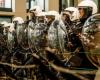 Tensions policières au centre de Bruxelles en marge de la visite de Bardella (photos et vidéos)