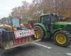 Toulouse. Les agriculteurs préparent une mobilisation à grande échelle d’ici la fin du mois