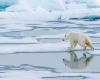 « Le déni climatique repose le plus souvent sur de fausses croyances »