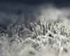 le froid s’est abattu sur l’Aveyron ce mercredi matin, températures négatives enregistrées dans le département