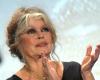 Mariée quatre fois, Brigitte Bardot évoque sa vie amoureuse : “Je n’ai jamais…”